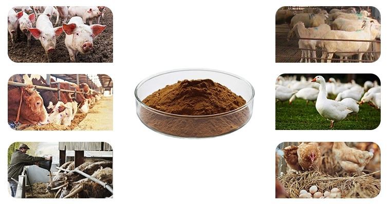 product-1-1 image001