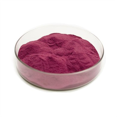 Elderberry Extract Powder