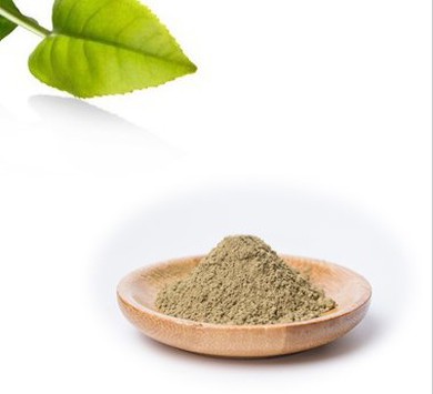 Green Tea Leaf Extract Powder