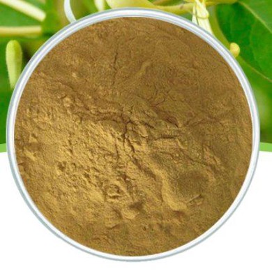 Honeysuckle Extract Powder