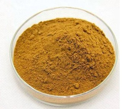 Rosmarinus Officinalis Leaf Extract Powder