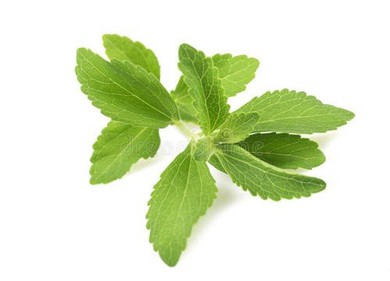 Purified Stevia Leaf Extract
