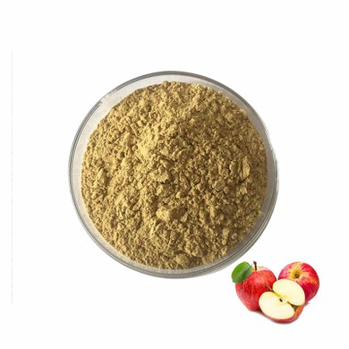 Apple Polyphenol Extract