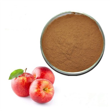 Apple Polyphenol Extract