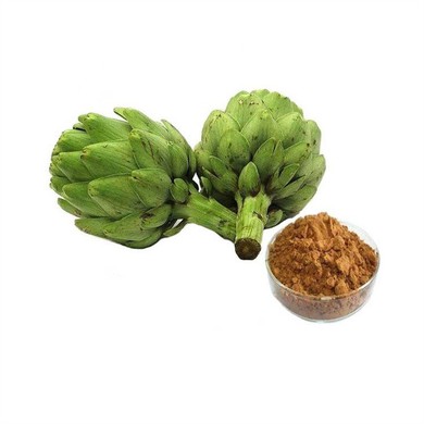 Artichoke Extract