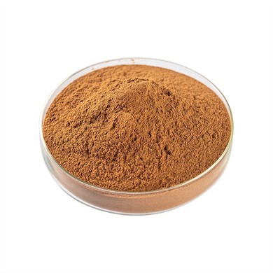 Green Tea Extract Powder