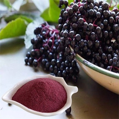 Black Elderberry Powder