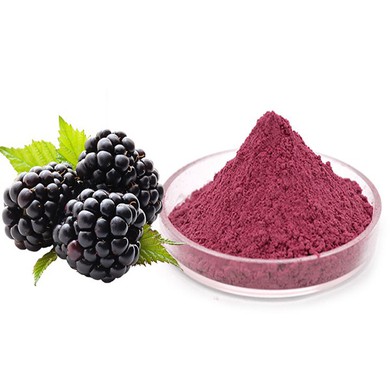 Blackberry Extract Powder