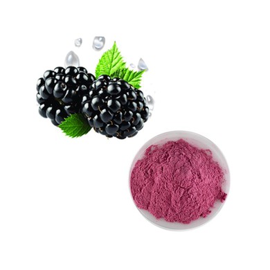 Blackberry Extract