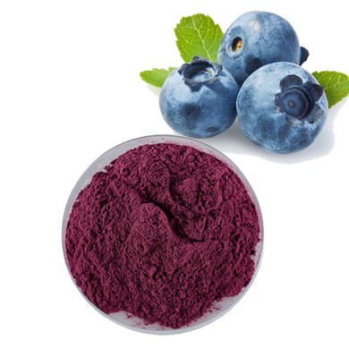 Bulk Blueberry Powder
