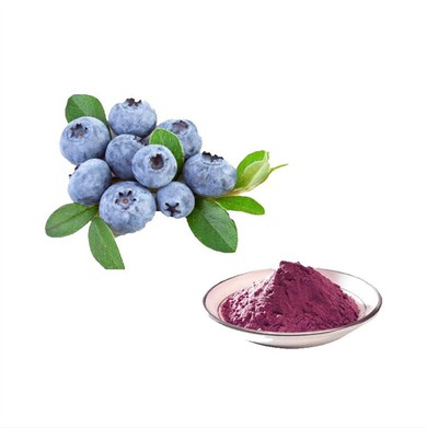 Bulk Blueberry Powder