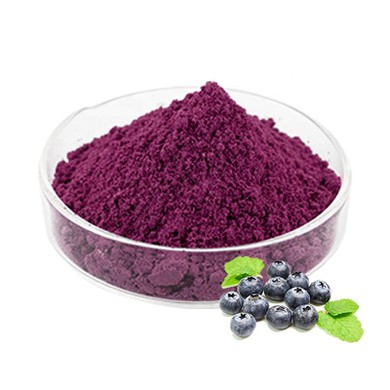 Bulk Blueberry Powder