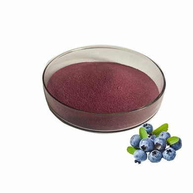 Bulk Blueberry Powder