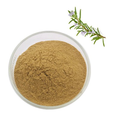 Carnosic Acid in Rosemary