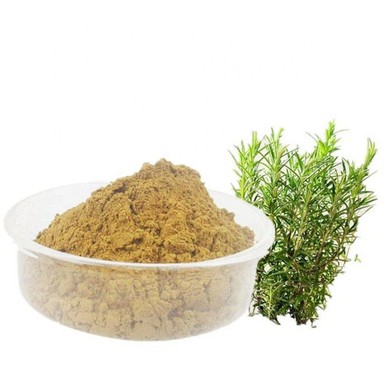 Carnosic Acid in Rosemary