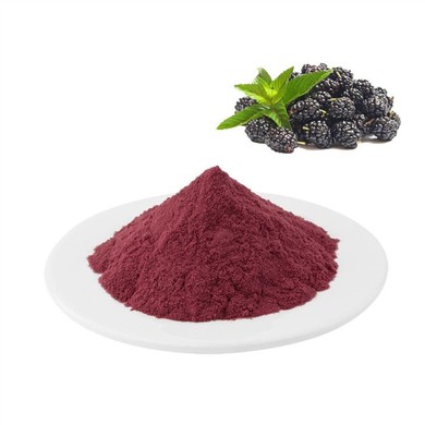 Dried Blackberry Powder