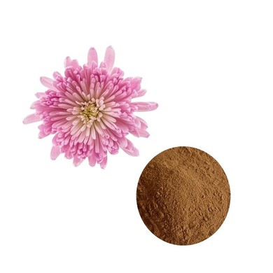 Echinacea Plant Extract