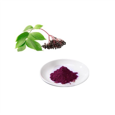 Elderberry Extract Powder