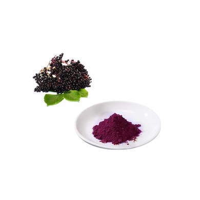 Black Elderberry Juice Powder