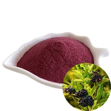 Elderberry Fruit Powder