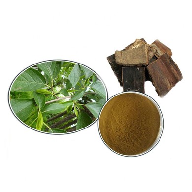 Eucommia Bark Extract