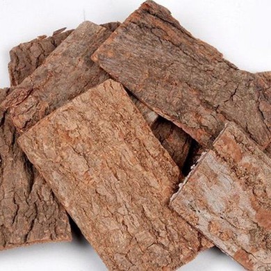 Eucommia Bark Extract Powder