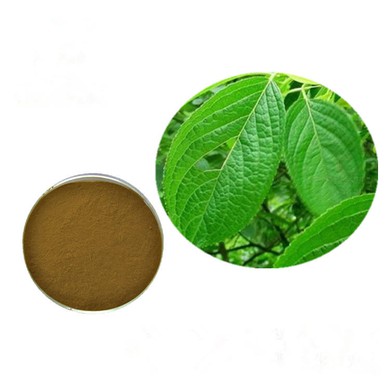 Eucommia Bark Extract Powder