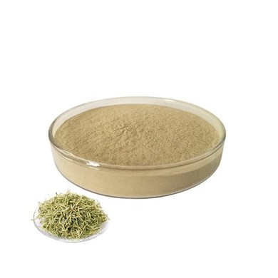 Honeysuckle Extract Benefits