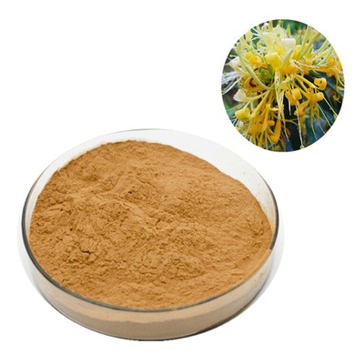 Honeysuckle Flower Extract