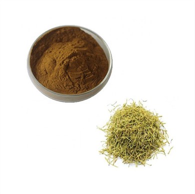 Honeysuckle Flower Extract