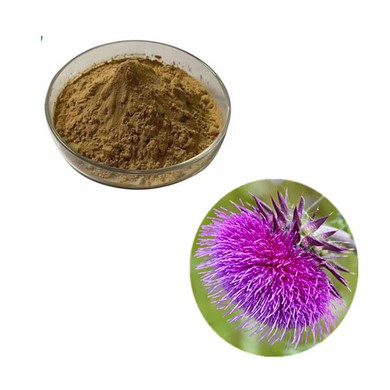 Milk Thistle Extract Powder