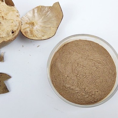 Monk Fruit Concentrate Powder