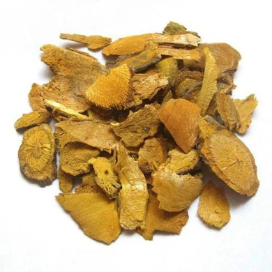Polygonum Cuspidatum Root Powder
