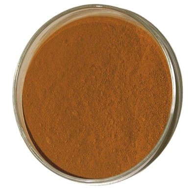 Polygonum Cuspidatum Root Powder