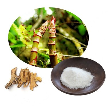 Resveratrol Polygonum Cuspidatum Extract