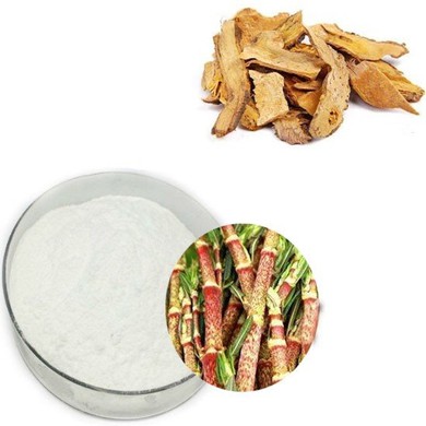 Resveratrol Polygonum Cuspidatum Extract