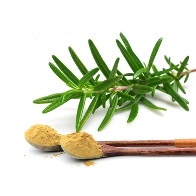 Rosemary Extract Ingredients