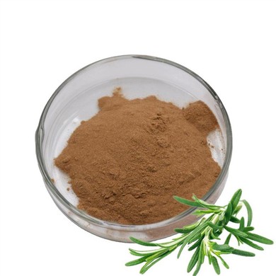 Rosemary Extract Ingredients