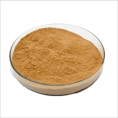 Rosemary Extract Powder