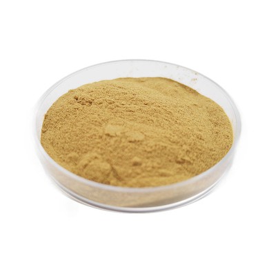 Rosmarinus Officinalis Leaf Extract Powder