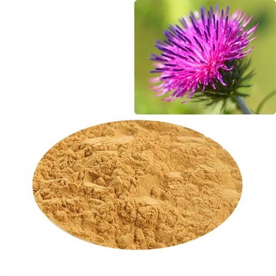 Silymarin Supplement