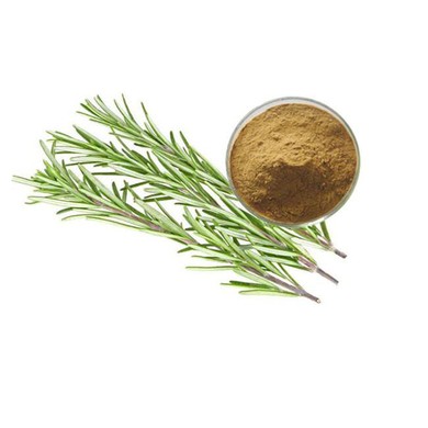 Ursolic Acid Extract