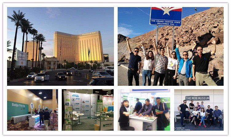 HTB1N28VolDH8KJjSspnq6zNAVXaA