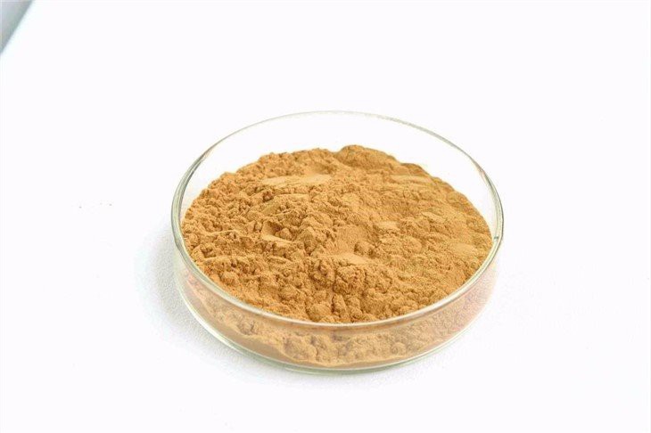 Lo Han Fruit Extract
