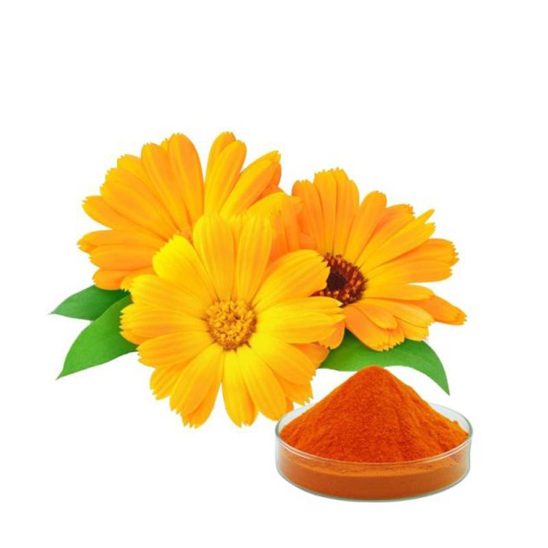 Lutein From Marigold Flower