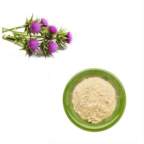 Silymarin Milk Thistle